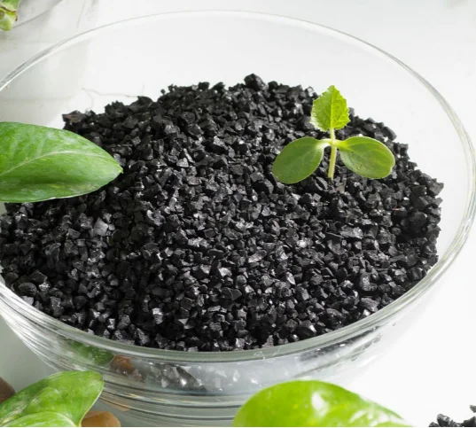 Acizii humici